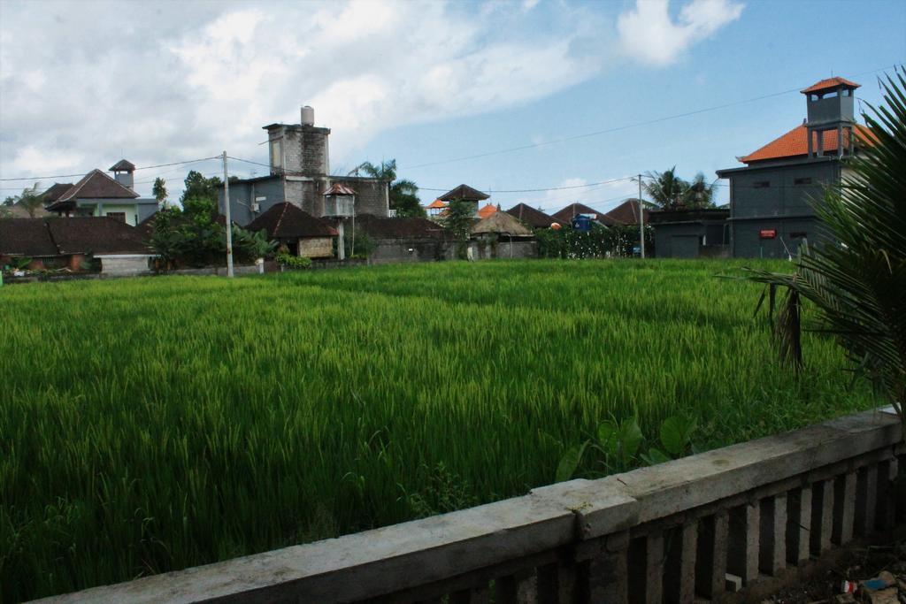 Cenik House Ubud Luaran gambar